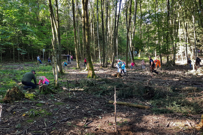 Kinder und Erwachsene sind in einem sonnenbeschienenen Wald verstreut, wo sie zwischen hohen Bäumen und Sonnenflecken Aktivitäten im Freien nachgehen, während einige Menschen in der Nähe von Baumstümpfen und Ästen auf dem Waldboden stehen. Die Gärtner im Allgäu